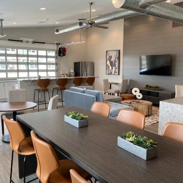 Authentix clubhouse interior bar, couches, and long table with chairs and plants