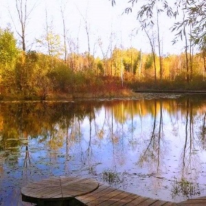 Riveredge_Nature_Center_from_Facebook-446451-edited.jpg