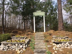 Rich Bell Memorial Park