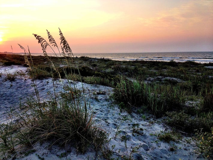 Kiawah_Island.jpg